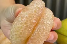 没有“虾线”的柚子终于上市啦！超级好剥皮超级治愈～#文旦柚  #秋天的第一个柚子  #柚子的正确剥法  #柚子  #新鲜应季水果