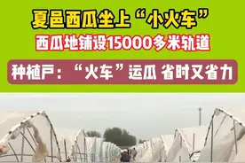 夏邑西瓜坐上“小火车”，西瓜地铺设15000多米轨道，运瓜省时又省力  #西瓜 #种植基地  #智能科技 #夏天的味道视频封面