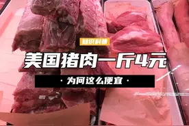 美国猪肉为何这么便宜？一斤才卖4元，看完养殖加工过程就明白 （2）#养猪 #猪肉 #科普 #涨知识视频封面