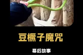 豆角魔咒：任何生物吃多了豆橛子，都会对其退避三舍 #豆橛子 #河南 #山东 #搞笑 #卡皮巴拉