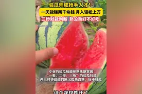 又到夏天“吃瓜季”#验瓜师成抢手人才一天赚2000元   两三秒就能判断，熟没熟好不好吃！（供稿：绍兴台）