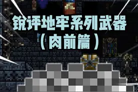 地牢出品必属精品？ #泰拉瑞亚 #泰拉瑞亚手游视频封面