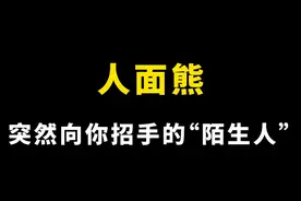 无人区拍下的一幕：突然向你招手的“陌生人”，可能不是人！#都市传说 #恐怖故事 #怪谈 #藏马熊 #万万没想到视频封面