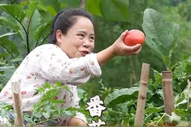 用自家种的番茄，给爸妈做道开胃又下饭得“番茄土豆丁”一口下去超满足！#美食分享 #农村美食 #老人小孩都爱吃