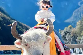 一家三口7天6晚云南旅行攻略来啦，昆明+大理+丽江，花费+路线视频封面