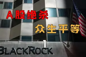 大A割韭菜，国际顶尖金融贝莱德，退出A股，一视同仁 在A股面前视频封面
