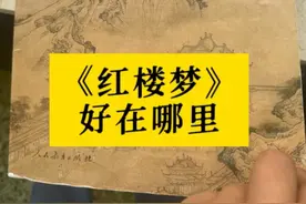 高中语文教材：《红楼梦》为啥是“艺术高峰”？ #红楼梦 #贾宝玉视频封面