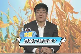 大豆有哪几种颜色？ #大豆  #来抖音学农技  #新农人计划2024视频封面