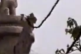 1994年北京自由行 2视频封面