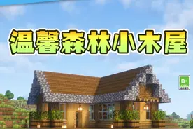 让村村用30秒带你建造森林温馨小木屋！#你想玩的这里都好  #我的世界  #我的世界Minecraft  #我的世界建筑