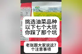 #油菜 #高产油菜品种 #油菜品种排名前十名 #油菜种植 #油菜种植交流视频封面