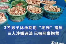 3名男子休渔期用“地笼”捕鱼，三人涉嫌违法 已被刑事拘留#休渔期捕鱼 #违法捕鱼视频封面