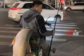 12月26日，江西南昌。男子钓到56斤鳡鱼，放在电动车上绕城转：这条鱼是我今年收获的最大鳡鱼，我就想往人多的地方去，按耐不住一个钓鱼佬想装的心情。视频封面