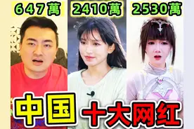 中国最多粉丝的10个网红！“小lin说”排名第10， “李子柒