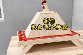 怎么制作鸡食槽 用木板制作的家禽自动喂食器，材料便宜制作简单视频封面