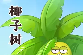 从树上掉下来的砸人椰子，居然还有这么不靠谱的传说？#椰子 #民间传说 #你好暑假@抖音青少年   