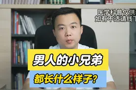 男人的小兄弟都长什么样子？ #两性关系  #夫妻相处  #肾脏健康视频封面