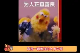 体重不详，心地善良 #动物的迷惑行为视频封面