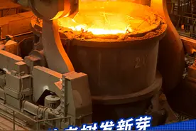 让老树发新芽 湖北推动汽车、化工、冶金三大传统产业转型升级视频封面