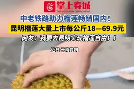 中老铁路助力榴莲畅销国内！昆明榴莲大量上市每公斤18—69.9元 网友：我要去昆明实现榴莲自由！！#喜欢吃榴莲的看过来 #水果之王 #昆明 #中老铁路 #榴莲自由视频封面