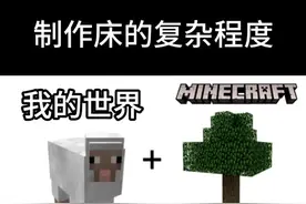 不同游戏如何制作床？ 你看懂了吗？ #泰拉瑞亚 #泰拉瑞亚手游 #内容启发搜索视频封面