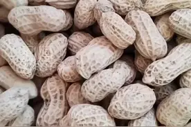 50岁大叔因戒烟嘴痒每天狂吃瓜子花生，胸部突然变大，宛如少女。视频封面