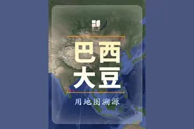 巴西大豆大丰收 中国满载而归 中美贸易战后 巴西大豆大丰收了 中国大量采购 美农场主哭晕#巴西大豆 #中美关税战 #巴西 #海运 #美国大豆 #巴西视频封面