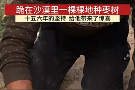 过去枣农跪在沙漠种枣，如今枣个如鸡蛋大小 #新疆和田大枣视频封面