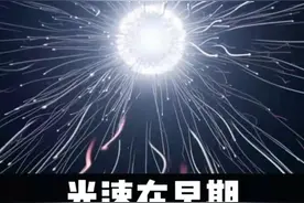 光速在早期是如何被计算出来的？ #科普 #涨知识 #物理 #科学 #光速 