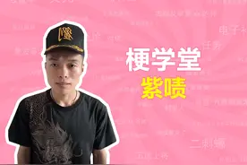 紫啧是什么梗？【梗学堂】 #紫啧 #梗 #艺术在抖音 #川子 #林末范视频封面