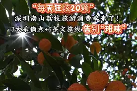 #深圳南山推出6条文旅线路去班味 #在深圳南山享受荔枝自由 6月15日，深圳市南山区荔枝旅游消费季正式启动。今年，南山区荔枝的产量预计达到5000吨，为此南山打造了西丽果场、福丽农场、荔山工业区3个采摘点，并推出了6条精品特色旅游路线。（广东台记者：蒋弘业）视频封面
