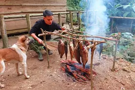奇人小伙隐居峡谷270天，神乎其神的钓鱼技巧，绝对让人大开眼视频封面