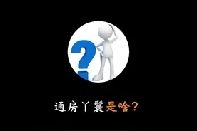 通房丫鬟是啥？#冷知识 #省流 #省流侠 #有趣的知识又增长了