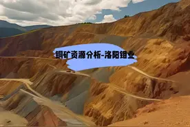铜矿资源分析-洛阳钼业 介绍洛阳钼业的铜储量情况视频封面