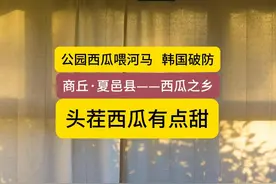 中国西瓜产量，河南第一名 #河南 #夏邑县 #开封西瓜