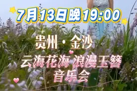 金沙玉簪花云海景区开启夜游之旅 贵阳路边音乐会金沙专场助力！观云，揽月、赏花，云霄之上，体验清凉一夏。#贵州旅游 #花海 #玉簪花云海景区