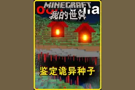 我的世界：老哥鉴定那些不为人知的MC诡异传说，第5集 #我的世界视频封面