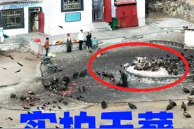 在全世界最大的天葬台，我经历了一次，绝无仅有的死亡教育#公路旅行 #vanlife旅行日记 #分享我的vanlife生活视频封面