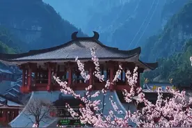 冲上热搜！#热播韩剧掀起张家界旅游热   #去张家界看最美春花视频封面