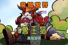 11.05手动GSE一键宏，让黑暗游侠-兽王猎，伤害起飞 #魔兽视频封面