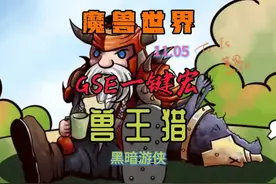 11.05手动GSE一键宏，让黑暗游侠-兽王猎，伤害起飞 #魔兽视频封面