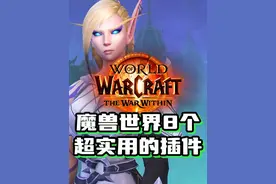 魔兽世界正式服的8个超实用单体插件！游戏体验感嘎嘎好视频封面
