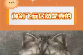 御剑飞行居然是真的！#问剑长生  #问剑长生公测  #3D御剑修仙