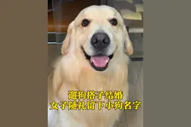 3月10日（采访），江苏徐州，女子参加遛狗搭子的婚礼，因为互相未通姓名，女子随礼时留下小狗名字。“狗：这顿席面沾我光了。”@小周小周招待不周（🐶辣汤）视频封面