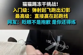 #猫猫踢冻干挑战 ！入门级：弹射起飞跑出幻影 最高级：直接赢在起跑线 网友：眨眼不是抱歉 是你还得练 #萌宠 #猫咪 #搞笑