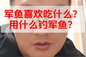 军鱼喜欢吃什么？用什么钓军鱼？ 军鱼喜欢吃什么？居然不爱吃鱼虾，鱼虾含量为何这么低？
直接上论文
#路亚 #钓鱼 #论文说钓鱼 #钓鱼人 #军鱼