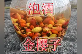 野果“金樱子”泡酒，方法简单易学，果味香甜醇厚！视频封面