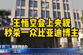 王悟空登上央视，秒杀一众比亚迪博主 #比亚迪视频封面