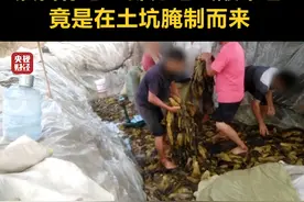 3·15晚会曝光｜触目惊心！部分老坛酸菜包竟是在土坑腌制而来#315晚会曝光 视频封面