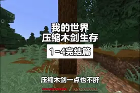 我的世界：压缩木剑生存1-4一口气看完！#我的世界 #我的世界生存视频封面